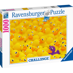 Challenge - Quietscheenten