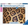Challenge - Animal Print