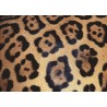 Challenge - Animal Print