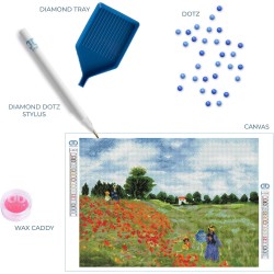 Diamond Dotz - Poppy Fields (Monet)