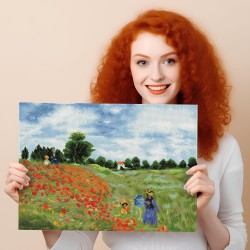 Diamond Dotz - Poppy Fields (Monet)
