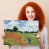 Diamond Dotz - Poppy Fields (Monet)