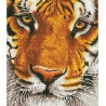 Diamond Dotz - Tiger