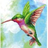 Diamond Dotz - Kolibri