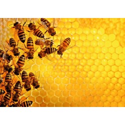 Ravensburger Puzzle - Challenge: Bienen