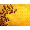 Ravensburger Puzzle - Challenge: Bienen