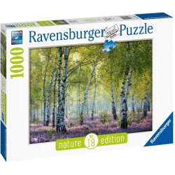 Nature Edition 18 - Birkenwald