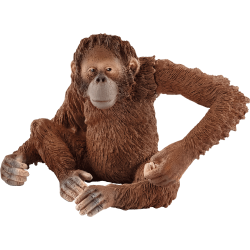 Schleich Wild Life - Orang-Utan Weibchen