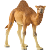 Schleich Wild Life - Dromedar