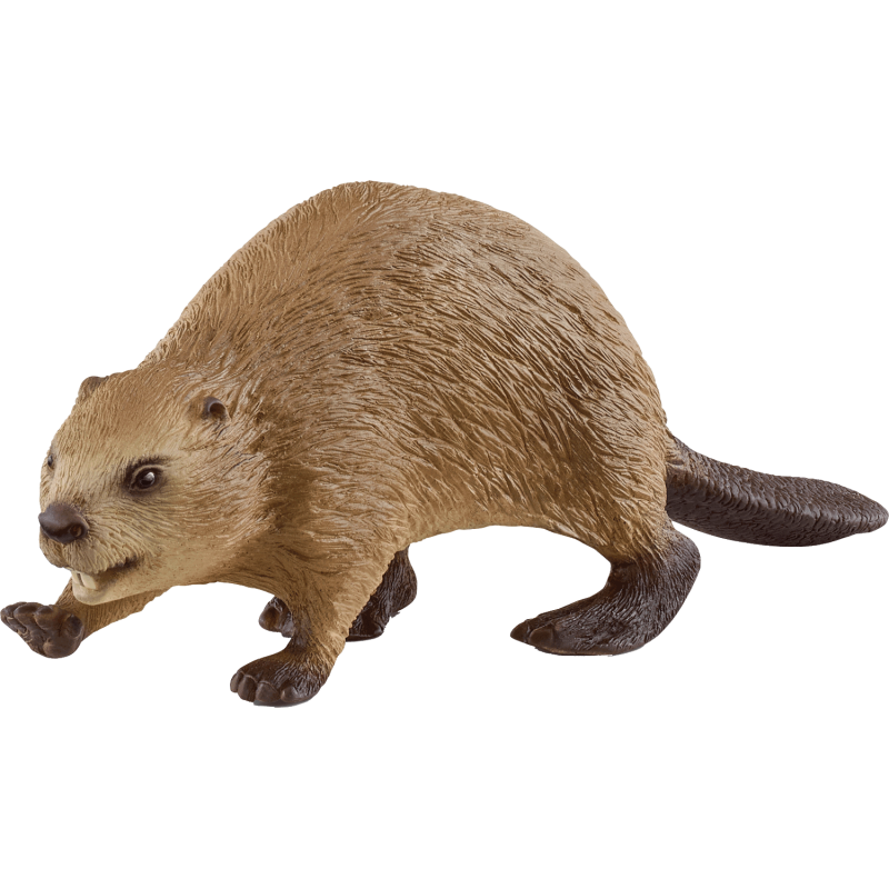 Schleich WILD LIFE 14855 Biber