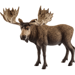 Schleich Wild Life - Elch Bulle