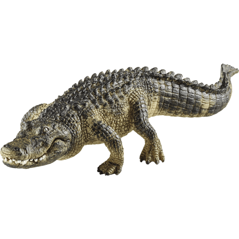 Schleich Wild Life - Alligator