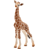 Schleich Wild Life - Giraffenbaby