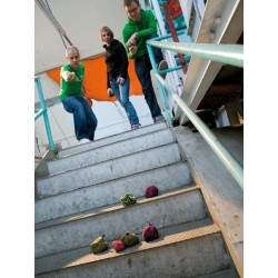 Zoch - Crossboule: beach