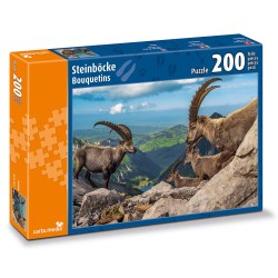 carta.media - Steinböcke