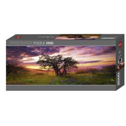 HEYE - Edition A. von Humboldt, Oak Tree