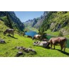 Ravensburger Swiss Puzzle - Fälensee
