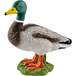 Schleich Farm World - Erpel (Männliche Enten)