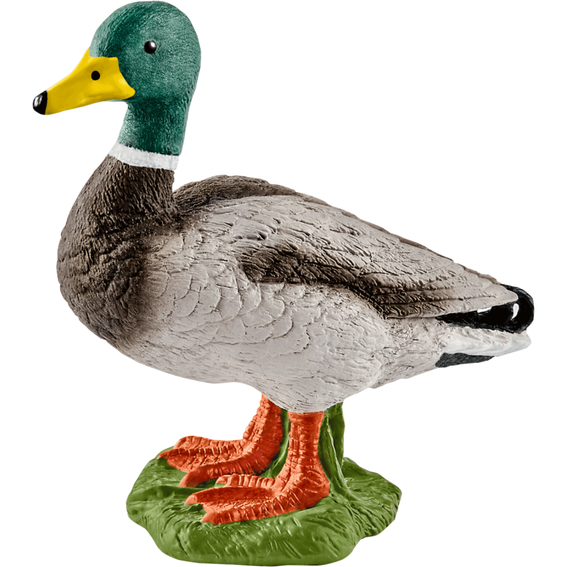 Schleich Farm World - Erpel (Männliche Enten)