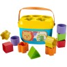 Fisher-Price - Babys erste Bausteine